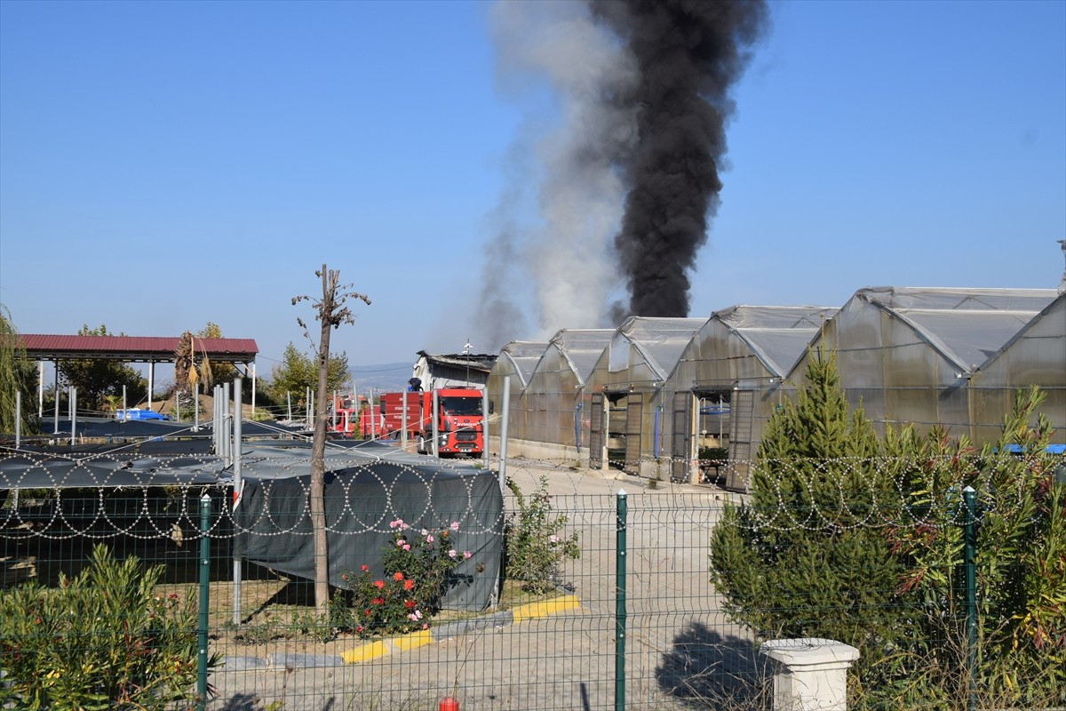 Manisa'nın Şehzadeler ilçesinde serada çıkan yangın itfaiye ekiplerinin müdahalesiyle...