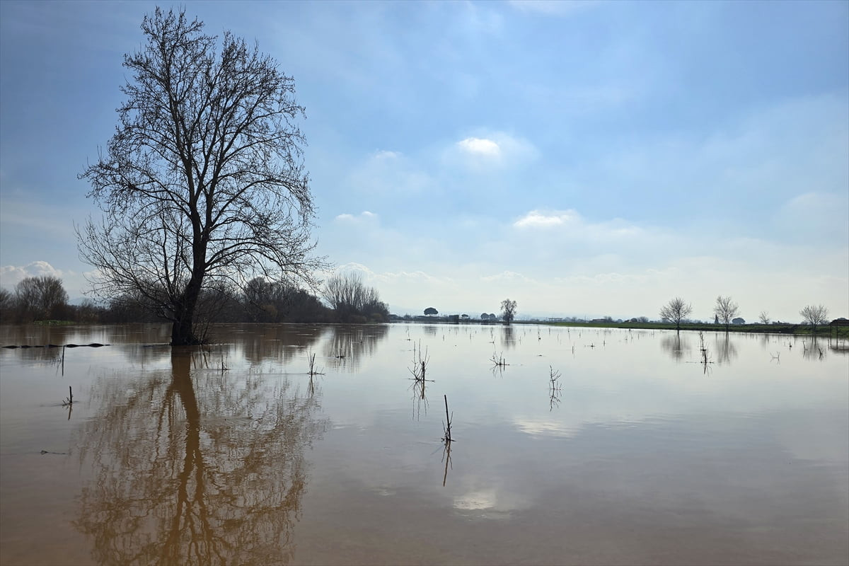 Manisa'nın Turgutlu ilçesinde, Gediz Nehri'nin taşması sonucu bazı tarım arazileri su altında...