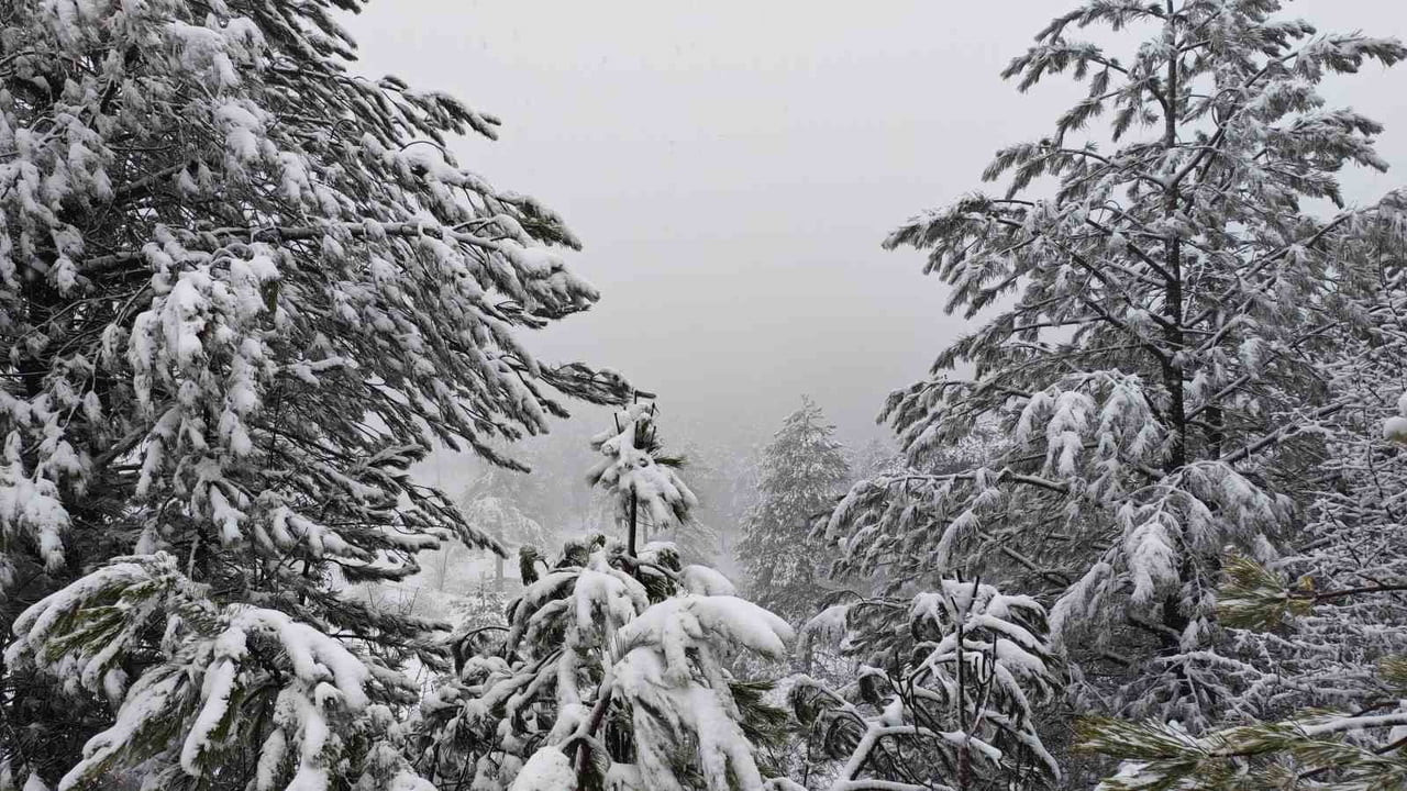 MANİSA’NIN DEMİRCİ İLÇESİNDE YÜKSEK KESİMLERDE KAR YAĞIŞI ETKİLİ OLUYOR.