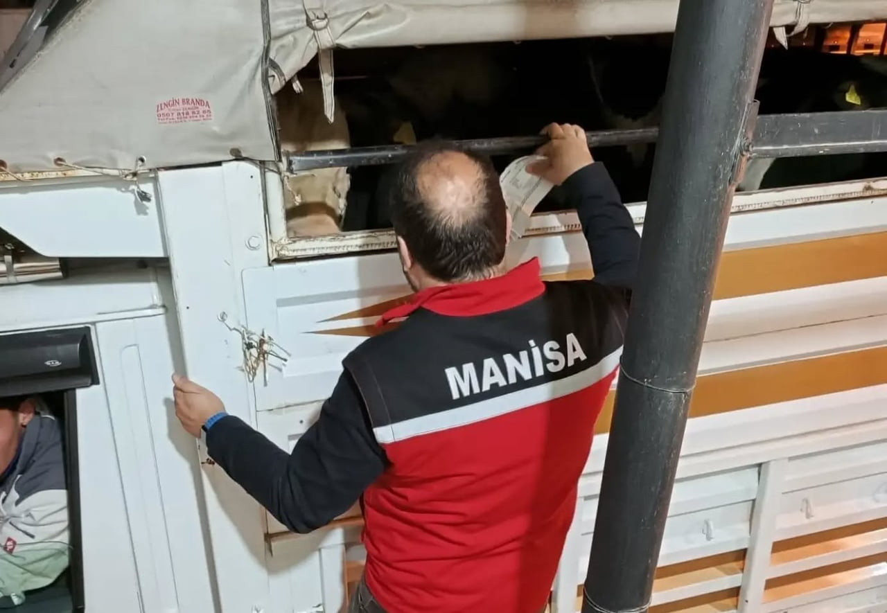 MANİSA’NIN SALİHLİ İLÇESİNDEKİ TARIM VE ORMAN MÜDÜRLÜĞÜ EKİPLERİ, YAKLAŞAN KURBAN BAYRAMI...