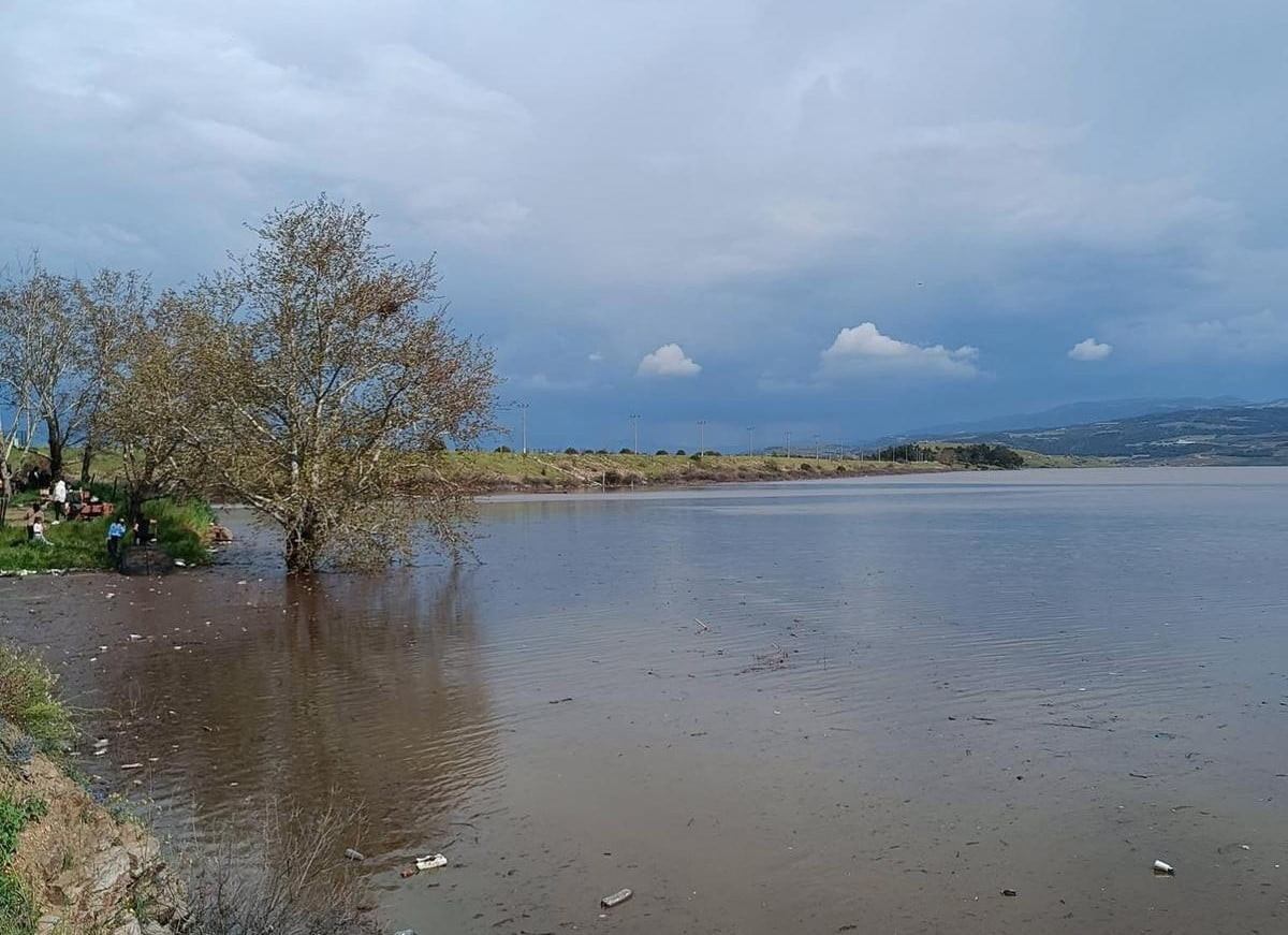 MANİSA’NIN SARIGÖL VE ALAŞEHİR OVALARINDA ÜRETİCİLERİN YÜZÜ GÜLDÜ. SON YAĞIŞLARLA BİRLİKTE...