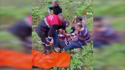 Mantar toplarken ayı saldırısına uğradı