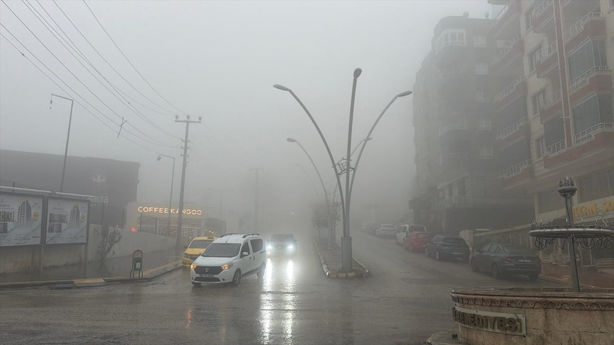 Mardin'de etkili olan yağmur ve sis ulaşımı olumsuz etkiledi. Kent merkezinde yağmurun yanı sıra...