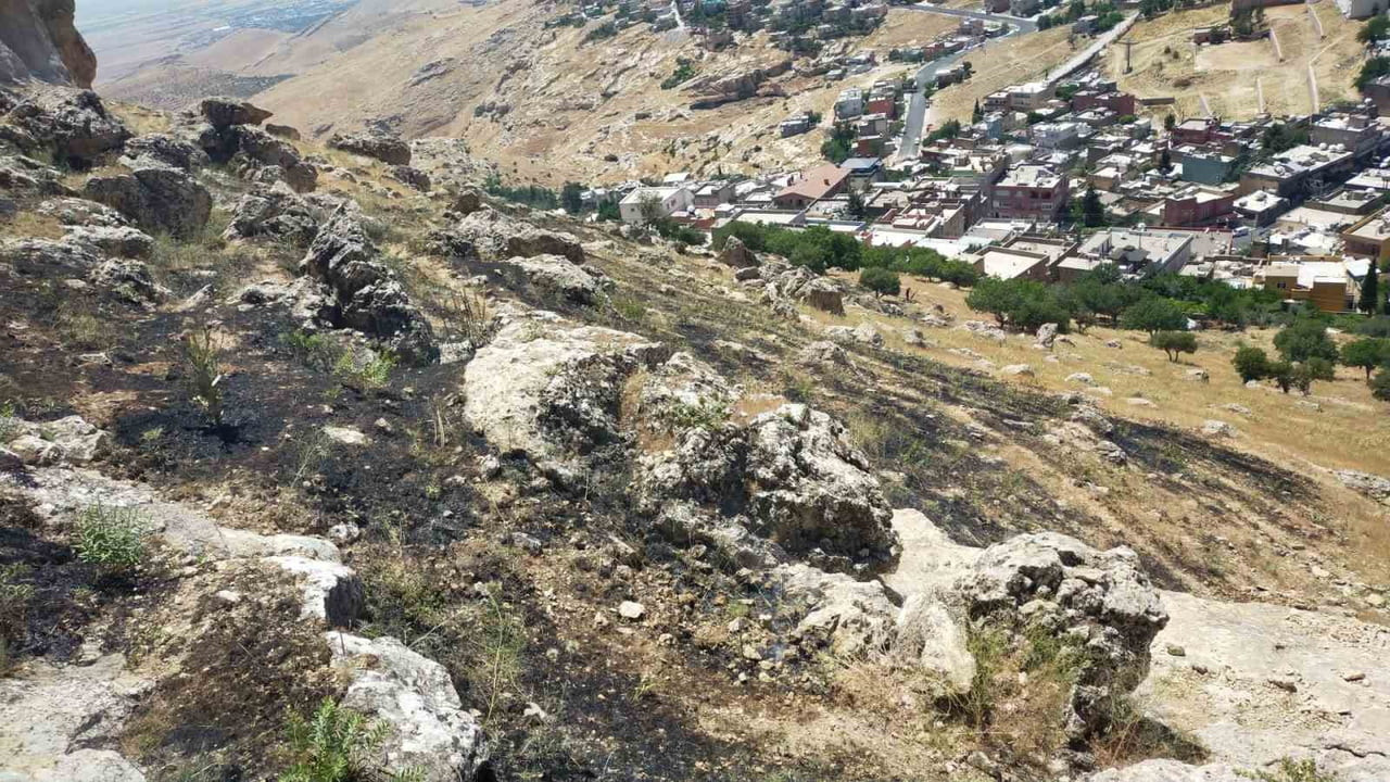 MARDİN'DE ORMANLIK ALANDA ÇIKAN YANGIN SÖNDÜRÜLDÜ