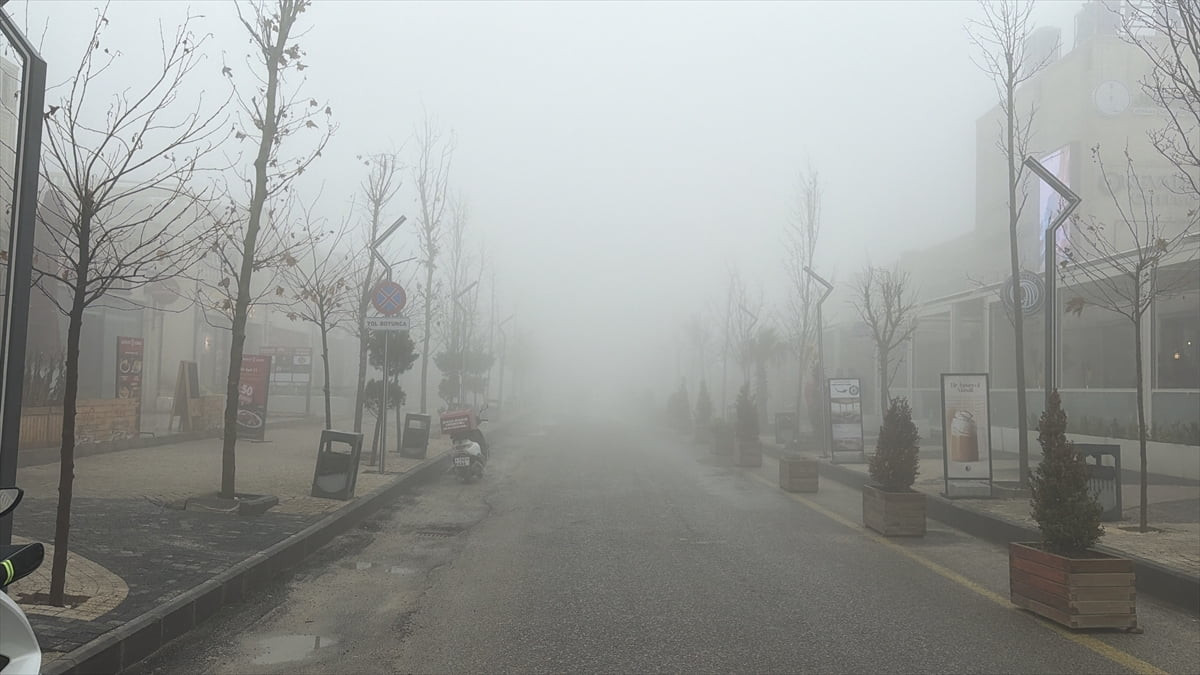 Mardin'de sis yaşamı olumsuz etkiledi. Kentte etkili olan sis nedeniyle merkez Artuklu ilçesinin...