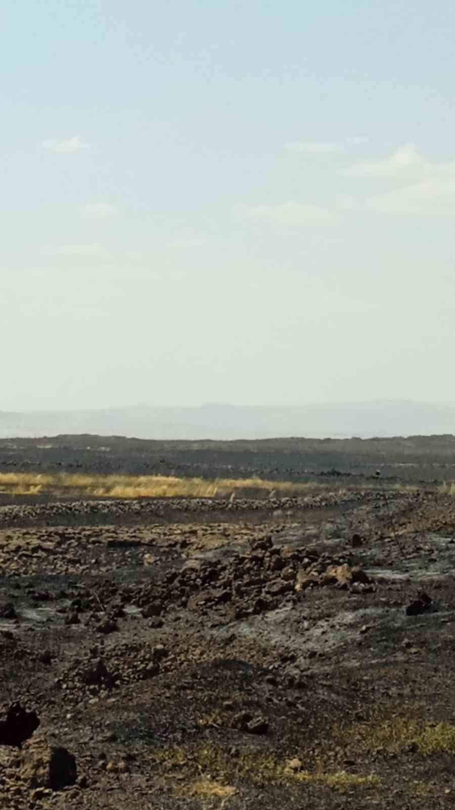 MARDİN'İN DERİK İLÇESİNDE ÇIKAN ANIZ YANGINI İTFAİYE EKİPLERİNİN MÜDAHALESİYLE...