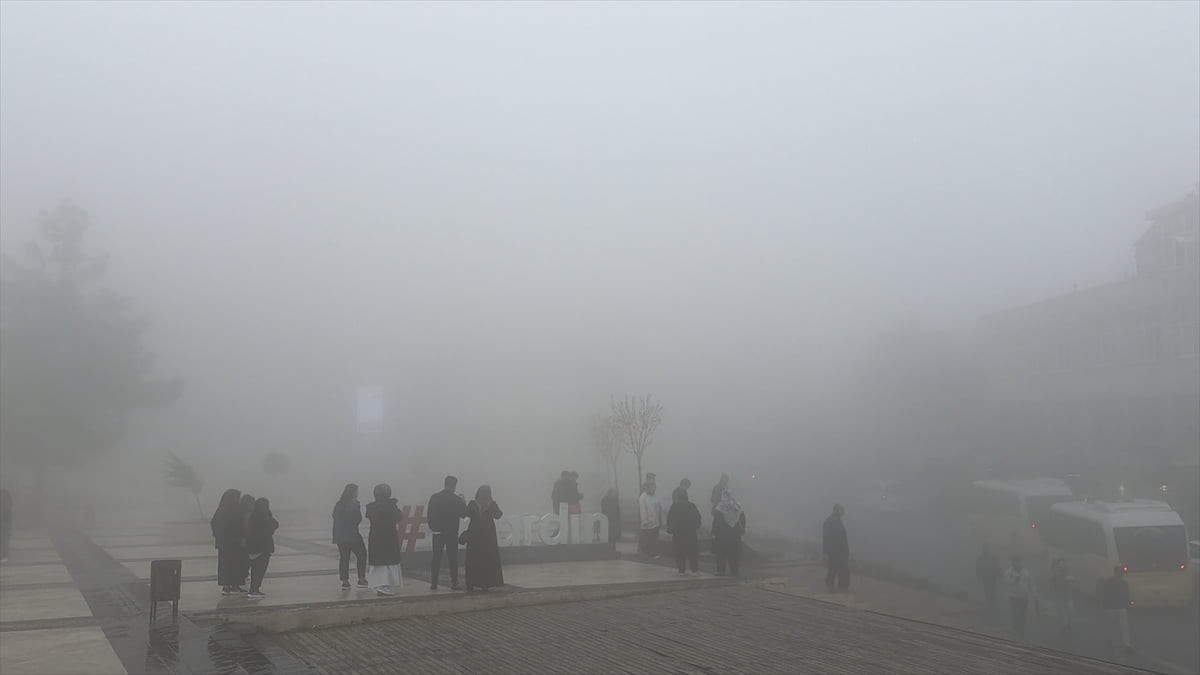 Mardin'in merkez Artuklu ilçesinde yoğun sis yaşamı olumsuz etkiledi.