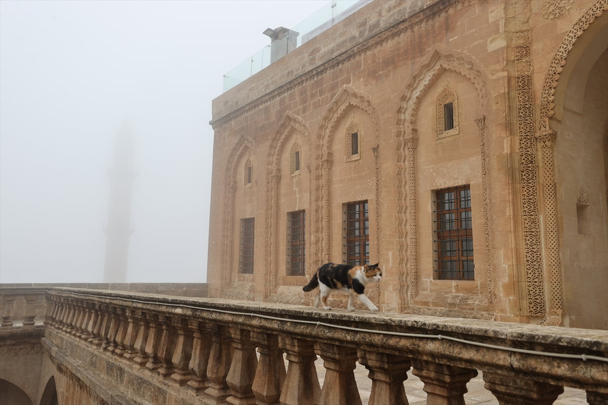 Mardin'in merkez Artuklu ilçesinde yoğun sis yaşamı olumsuz etkiledi. Öte yandan ilçenin "Eski...