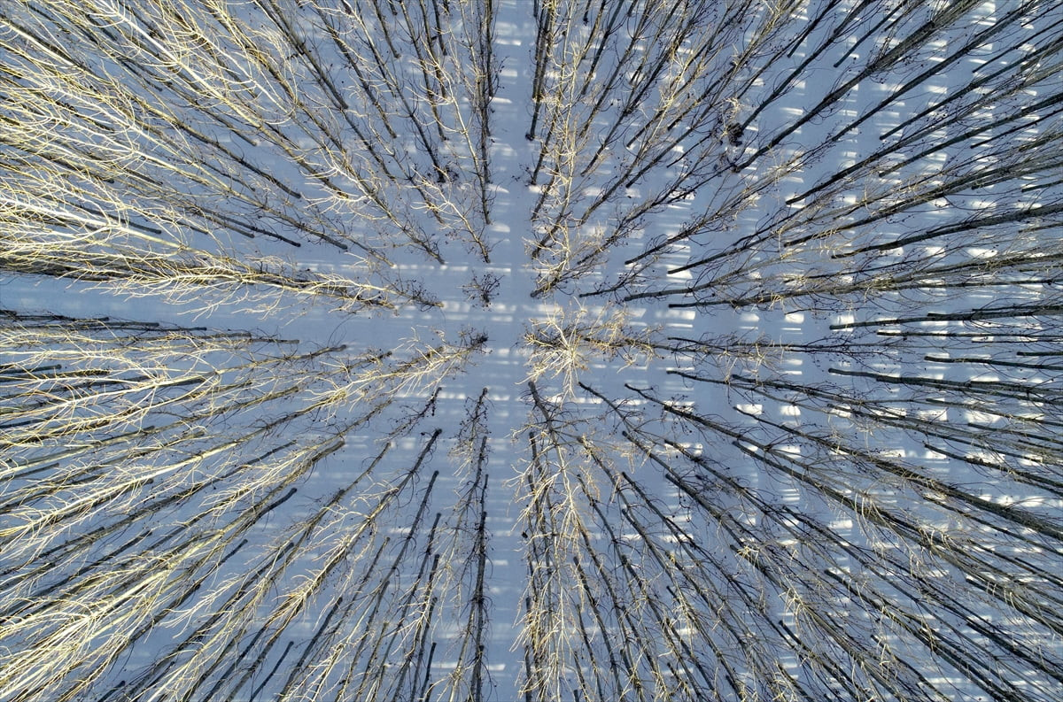 Mardin'in Savur ilçesinde, kar yağışının ardından beyaz örtüyle kaplanan Savur Çayı havzası...