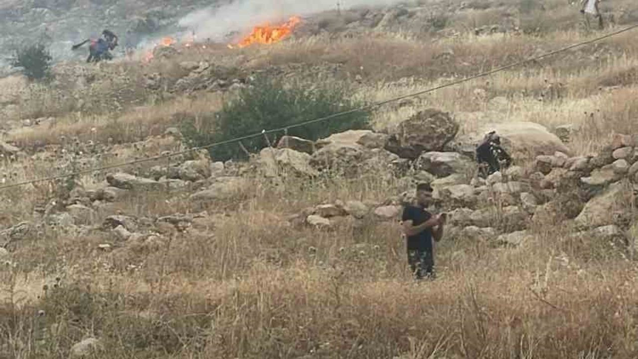 Mardin'de çıkan örtü yangınına havadan ve karadan müdahale ediliyor