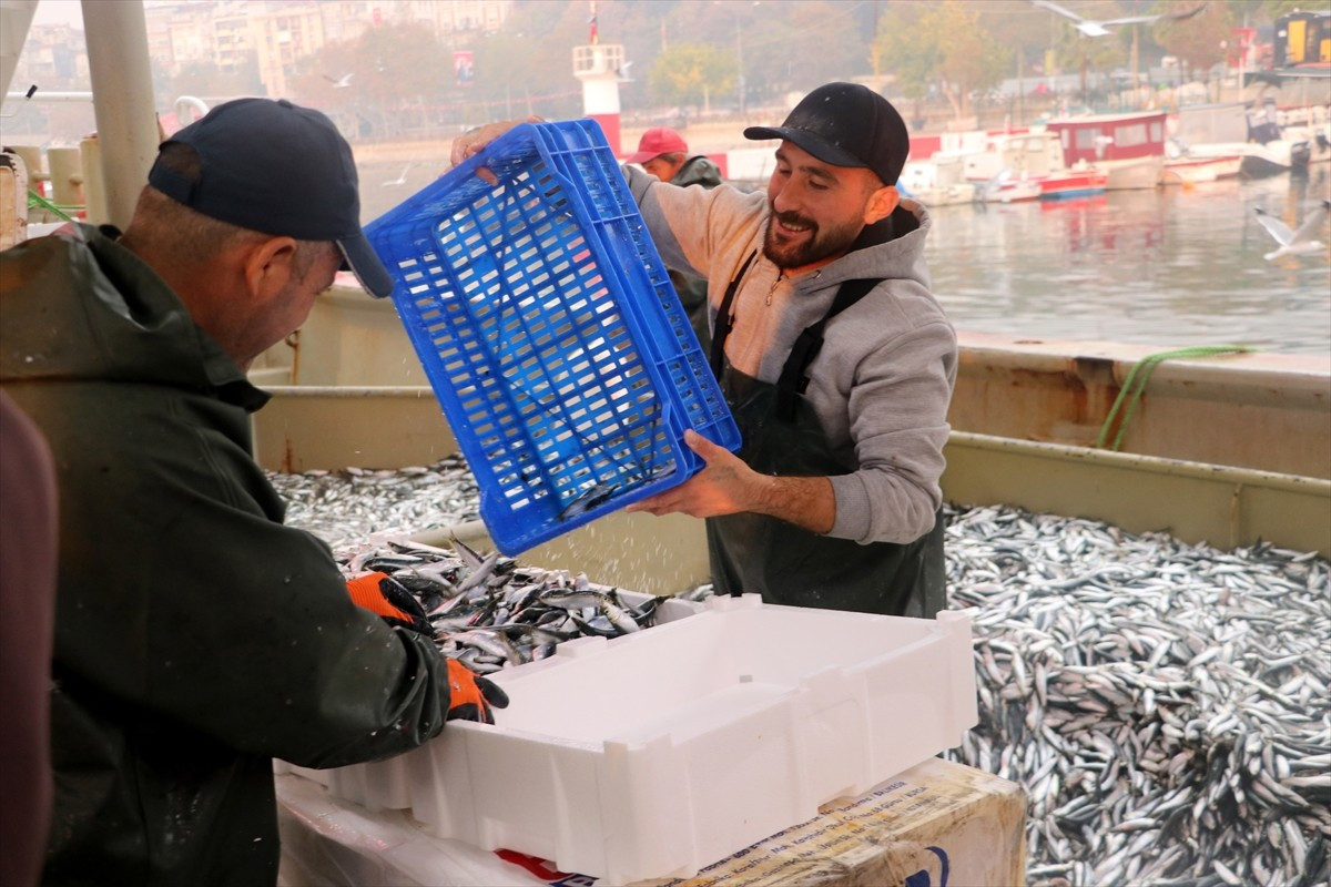  Marmara Denizi'nde avlanan Karadenizli balıkçılar, Tekirdağ'da limana hamsi ve sardalya dolu...