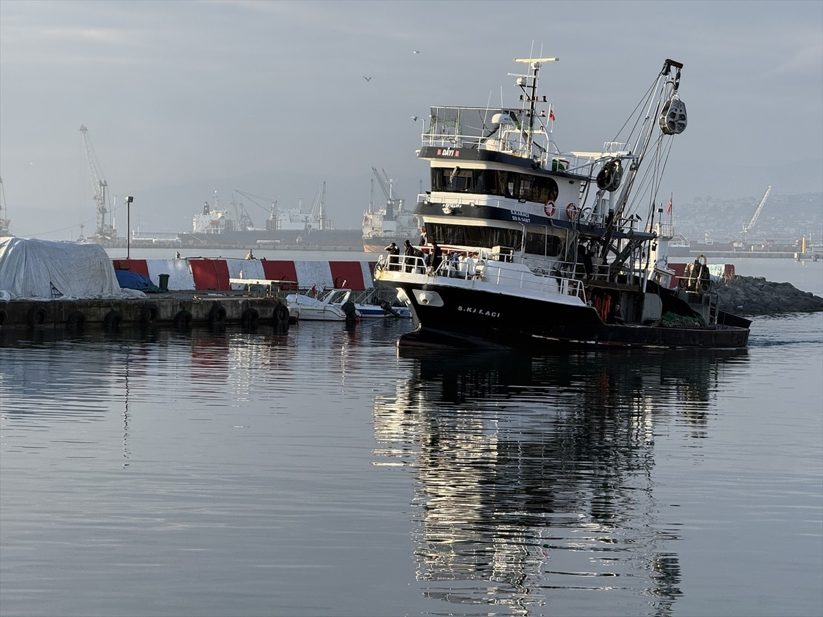 Marmara Denizi'nde avlanan Tekirdağlı balıkçılar, istavrit avcılığıyla sezonu verimli geçiriyor....