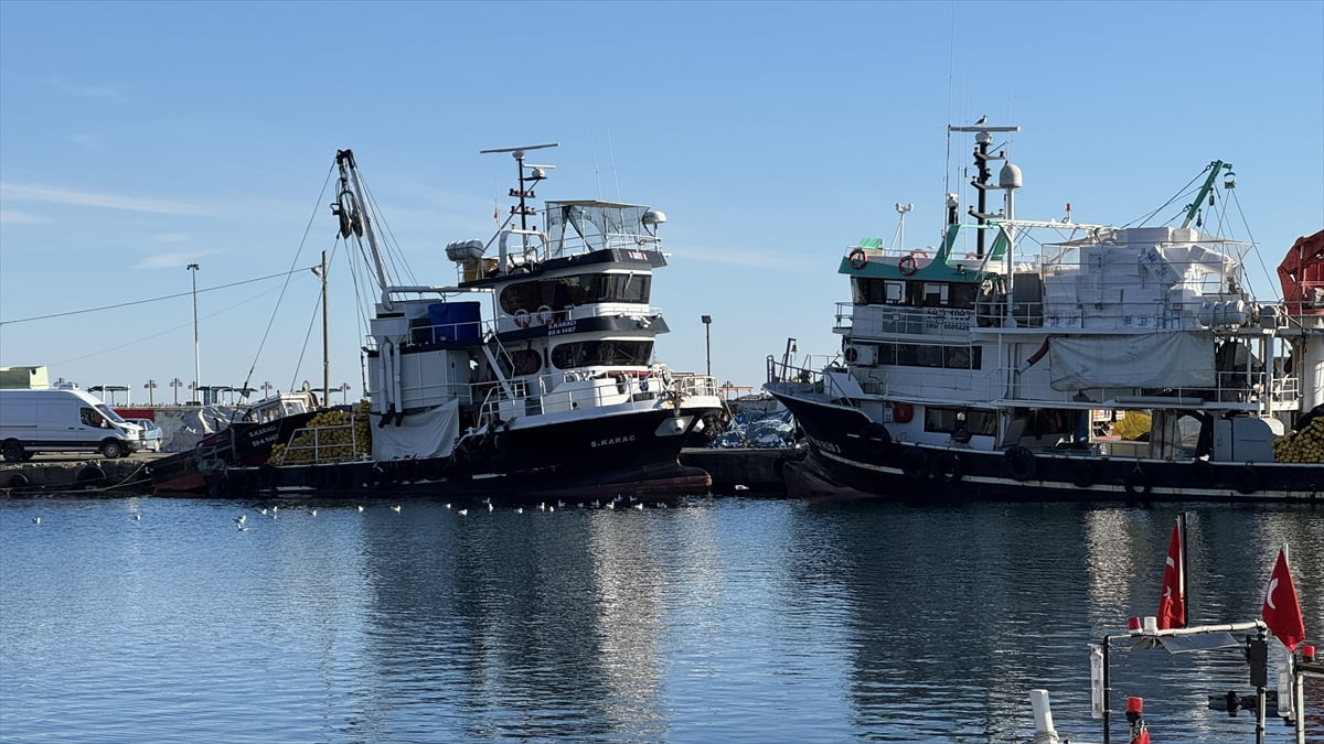 Marmara Denizi'nde etkili olan kar yağışının ardından Tekirdağlı balıkçılar, hamsi avı için...