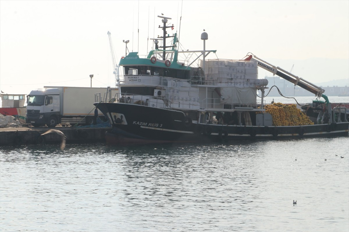 Marmara Denizi'nde yaşanan balık bolluğu nedeniyle çevre illerden gelen balıkçılar, Tekirdağ...