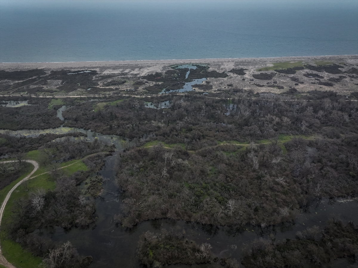 Marmara Denizi'nin Karacabey sahilinde birbirinden farklı canlı türlerine ev sahipliği yapan...
