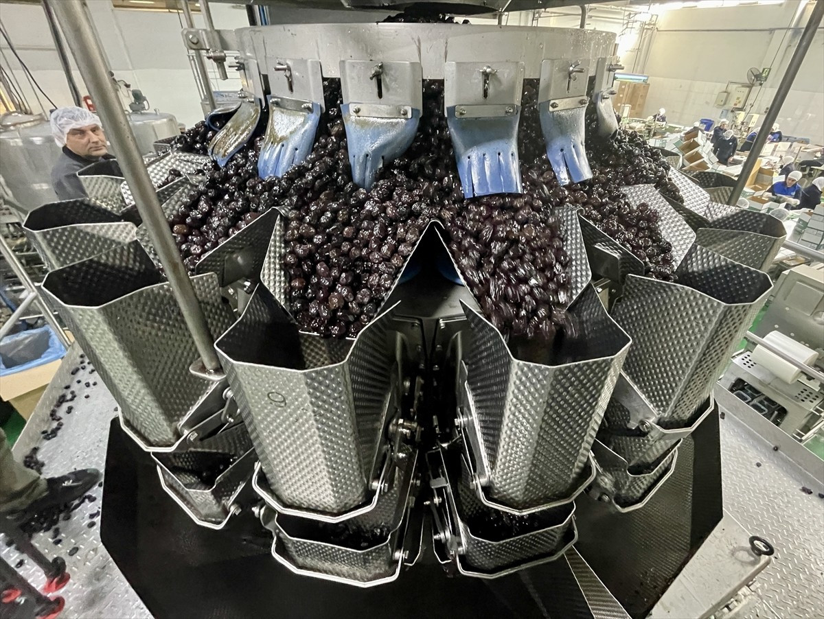 Marmara Zeytin Tarım Satış Kooperatifleri Birliği (Marmarabirlik) Yönetim Kurulu Başkanı Ali...