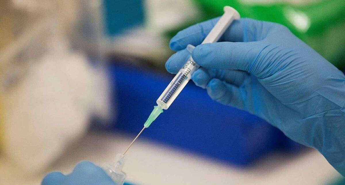 Mayısmun çiçeği virüsü nedir, belirtileri nelerdir?