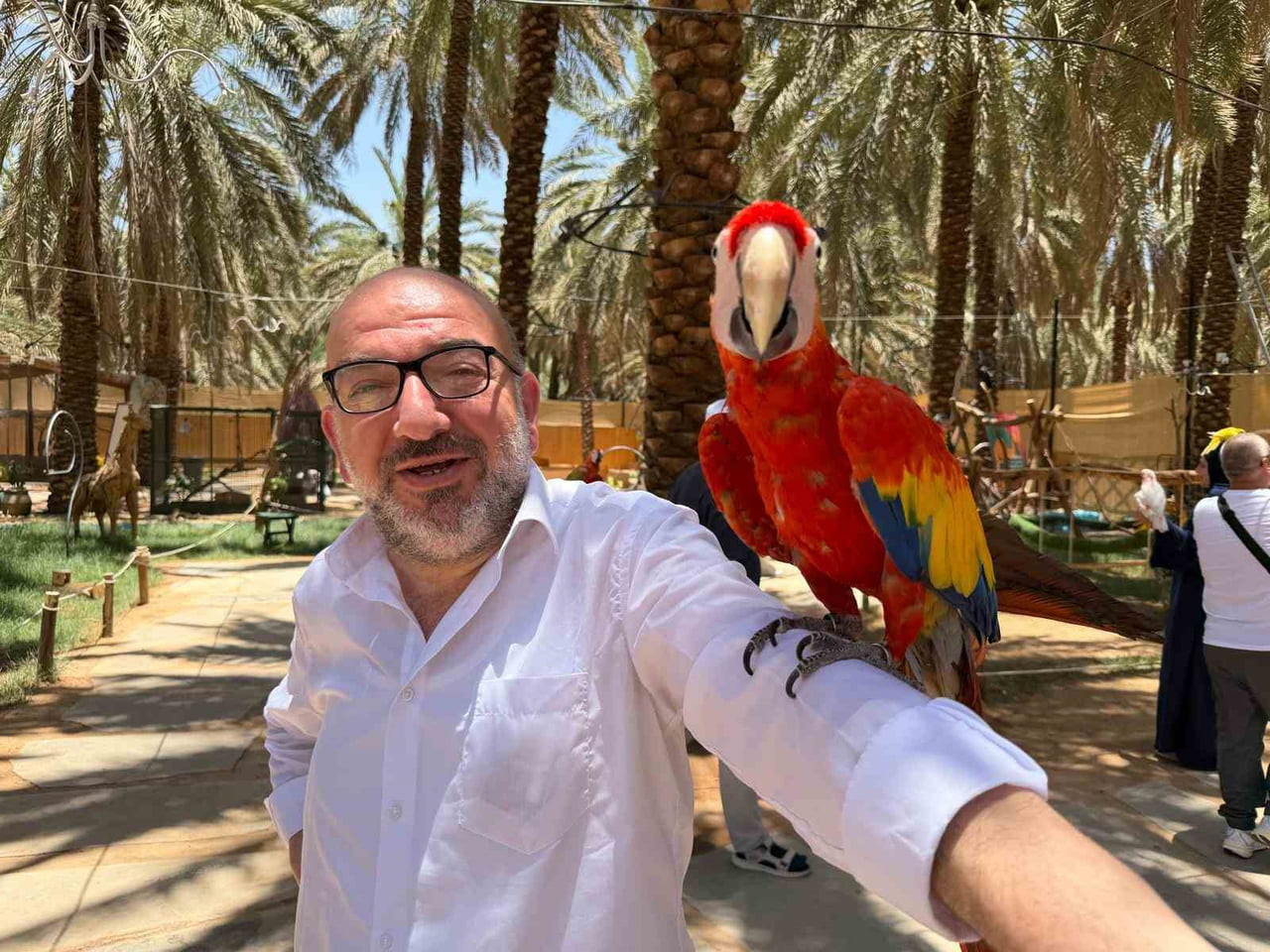 MEDİNE'DE HURMA ALIŞVERİŞİ İÇİN BAHÇELERİ ZİYARET EDEN HACI VE UMRECİLER, KÜBA MESCİDİ...