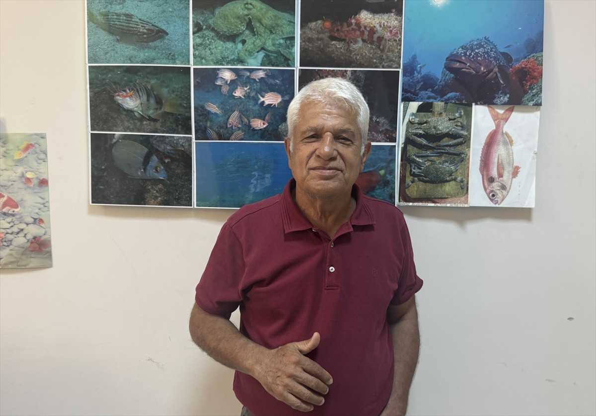 Meis Adası'ndaki ünlü Mavi Mağara'da nesli tehlike altındaki yavru Akdeniz foku ve ailesi...