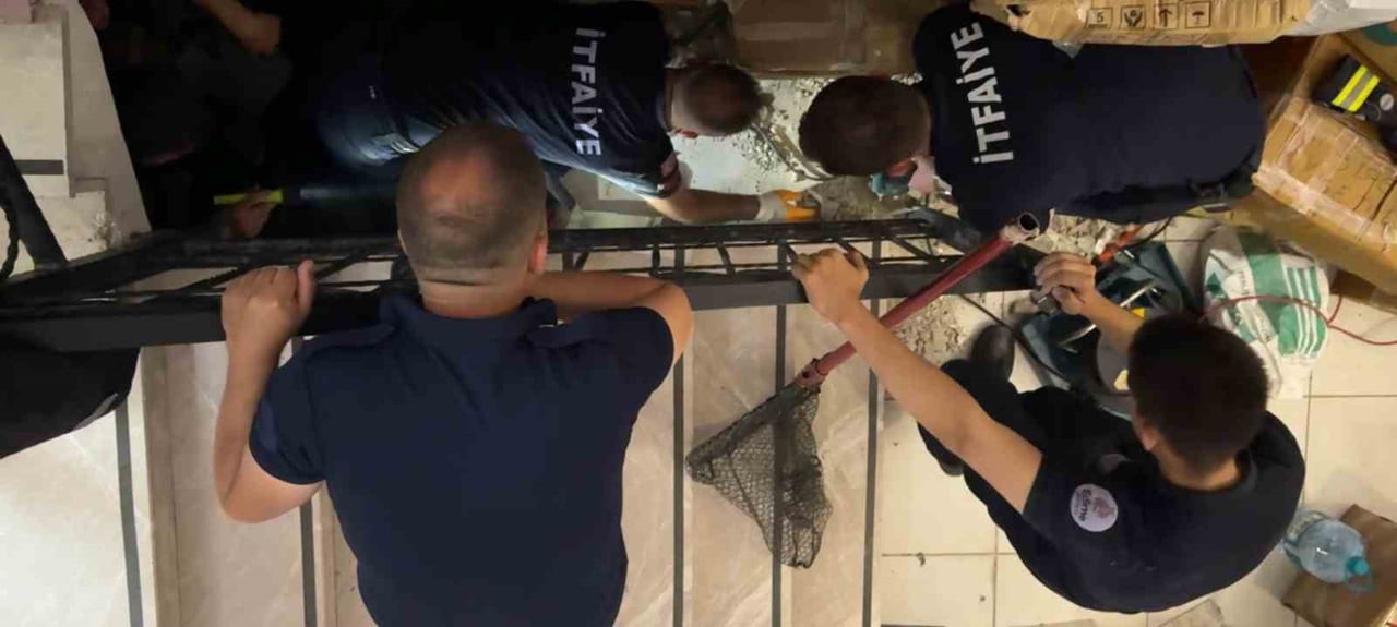 MERDİVEN BOŞLUĞUNA SIKIŞAN KEDİ MERDİVEN VE FAYANS KIRILARAK KURTARILDI