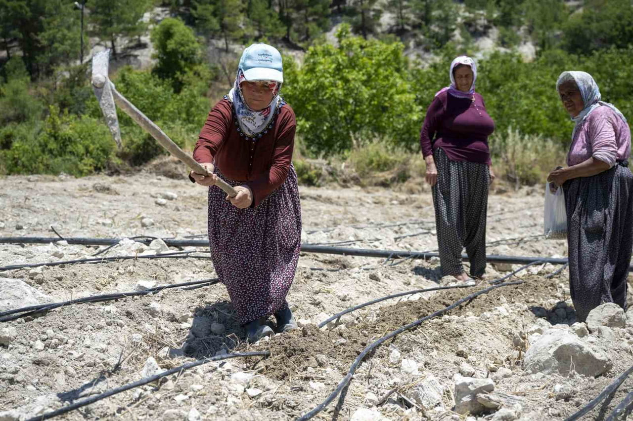 MERSİN BÜYÜKŞEHİR BELEDİYESİ, GÜLNAR İLÇESİNE ÖZGÜ ATALIK LEKLEK FASULYESİNİN ÜRETİMİNİ ARTIRMAK...