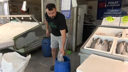 Mersin'de dev yılan balığı tezgahta ilgi odağı oldu