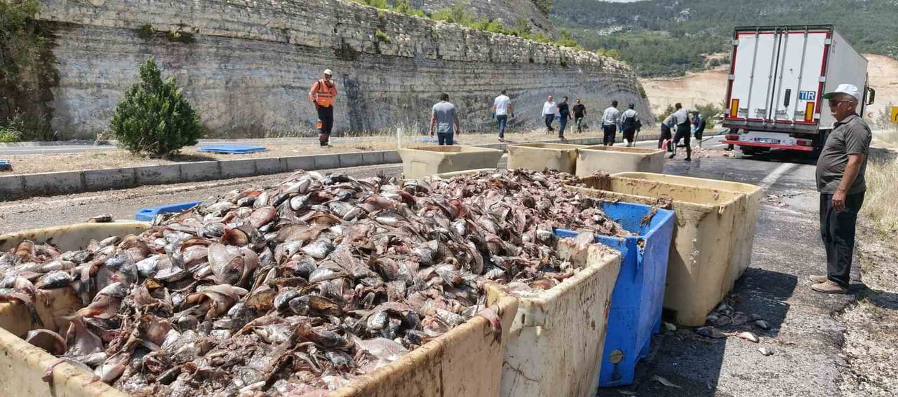 MERSİN'DE TIR'IN DORSESİ PATLADI, 15 TON BALIK ATIĞI YOLA SAÇILDI