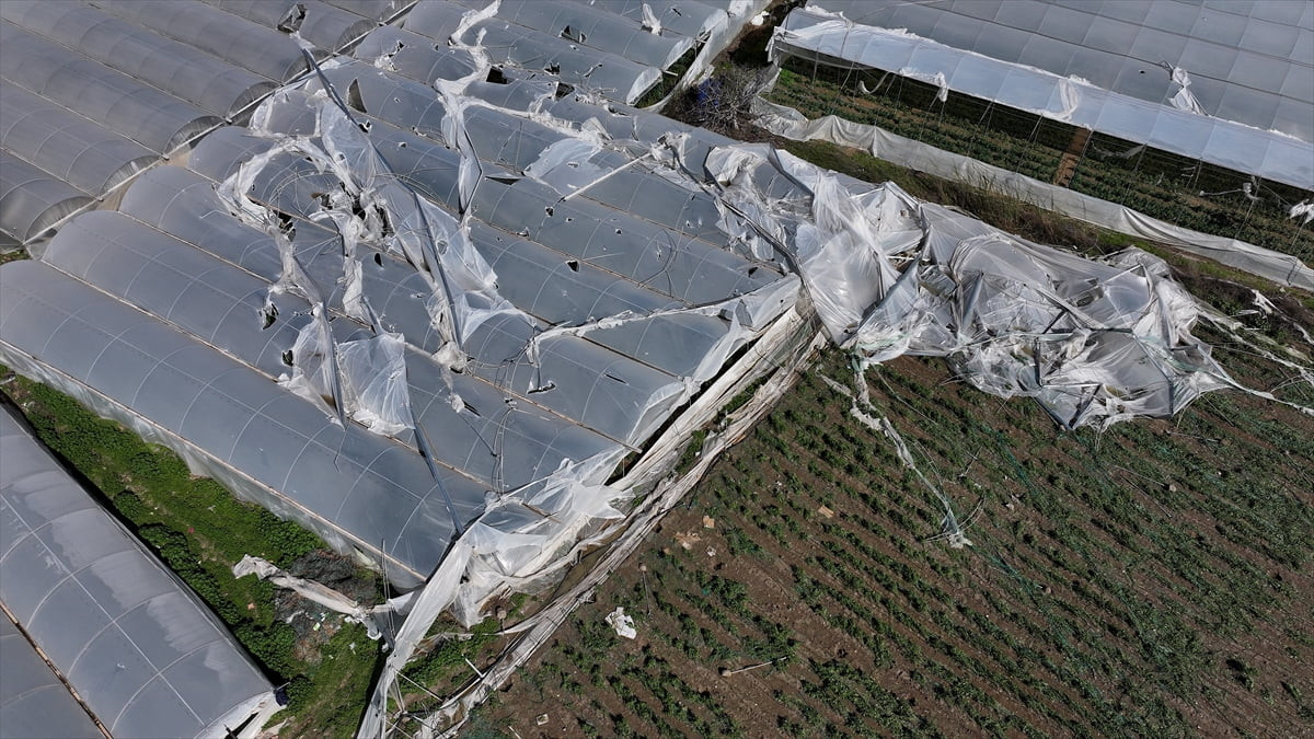 Mersin'in Akdeniz ve Tarsus ilçelerinde şiddetli rüzgar nedeniyle zarar gören seralarda hasar...