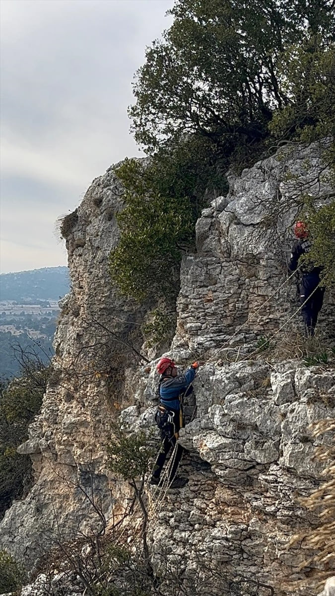 Mersin'in Erdemli ilçesinde, uçurumdaki kayalıklarda mahsur kalan 2 keçi itfaiye ekiplerince...