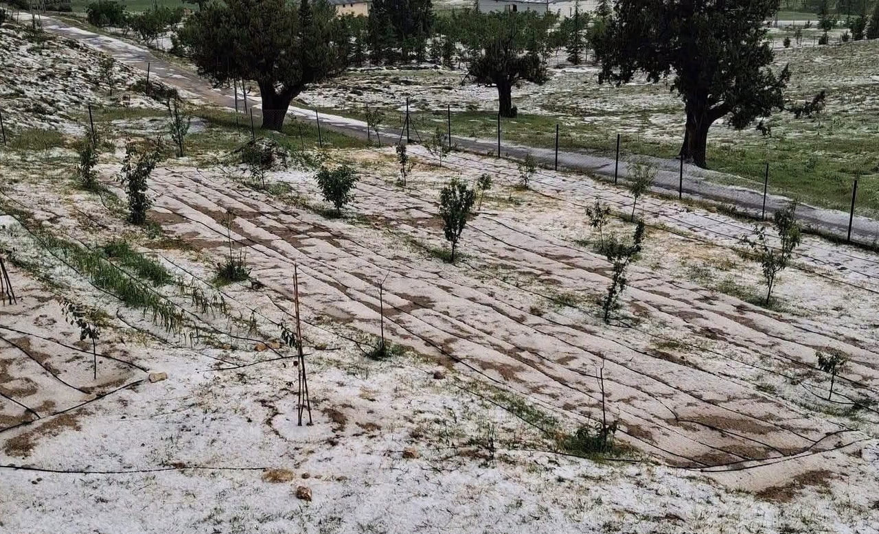 MERSİN'İN ERDEMLİ İLÇESİNDE YÜKSEK RAKIMLI MAHALLELERDE DOLU ETKİLİ OLDU, BAZI BAHÇELERDE ZARAR...