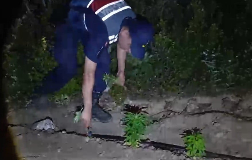 MERSİN'İN GÜLNAR İLÇESİNDE JANDARMA EKİPLERİNİN DÜZENLEDİĞİ OPERASYONDA, ORMANLIK ALANDAKİ 5...