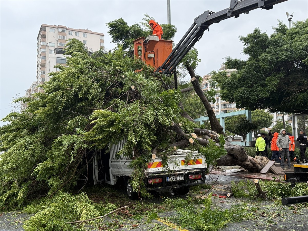  Mersin'in merkez Akdeniz ilçesinde rüzgarın etkisiyle devrilen ağaç, seyir halindeki kamyonet...