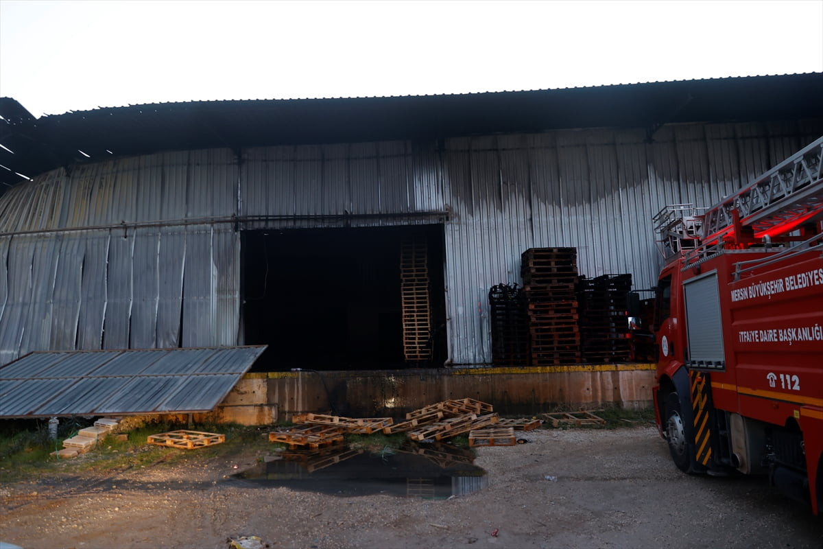 Mersin'in merkez Mezitli ilçesinde narenciye paketleme fabrikasında çıkan yangın...