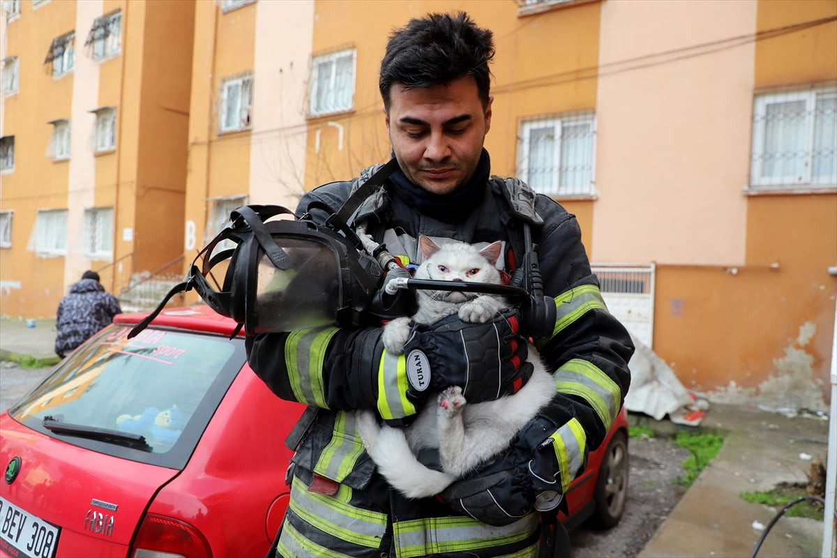 Mersin'in merkez Toroslar ilçesinde çıkan ev yangını itfaiye ekiplerince söndürüldü. Yangında...