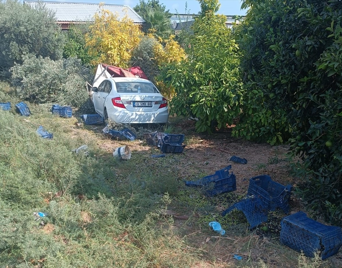 Mersin'in Silifke ilçesinde bahçede zeytin toplayan işçilere otomobilin çarpması sonucu 1 kişi...