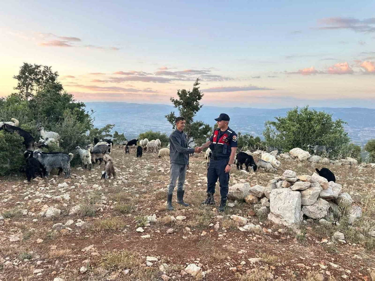 MERSİN’İN GÜLNAR İLÇESİNDE KAYBOLAN 40 KÜÇÜKBAŞ HAYVAN, JANDARMA EKİPLERİNİN DRON DESTEKLİ...