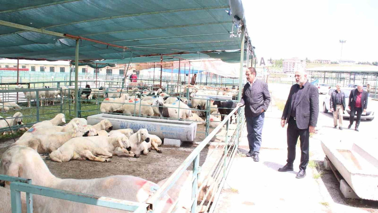 MESOB BAŞKANI KESKİN: CANLI HAYVAN PAZARI YENİDEN KAMU MALI OLMALI