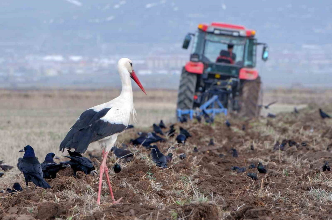METEOROLOJİ 12. BÖLGE MÜDÜRLÜĞÜ BÖLGE TAHMİN VE ERKEN UYARI MERKEZİNCE ZİRAİ DON UYARISI...