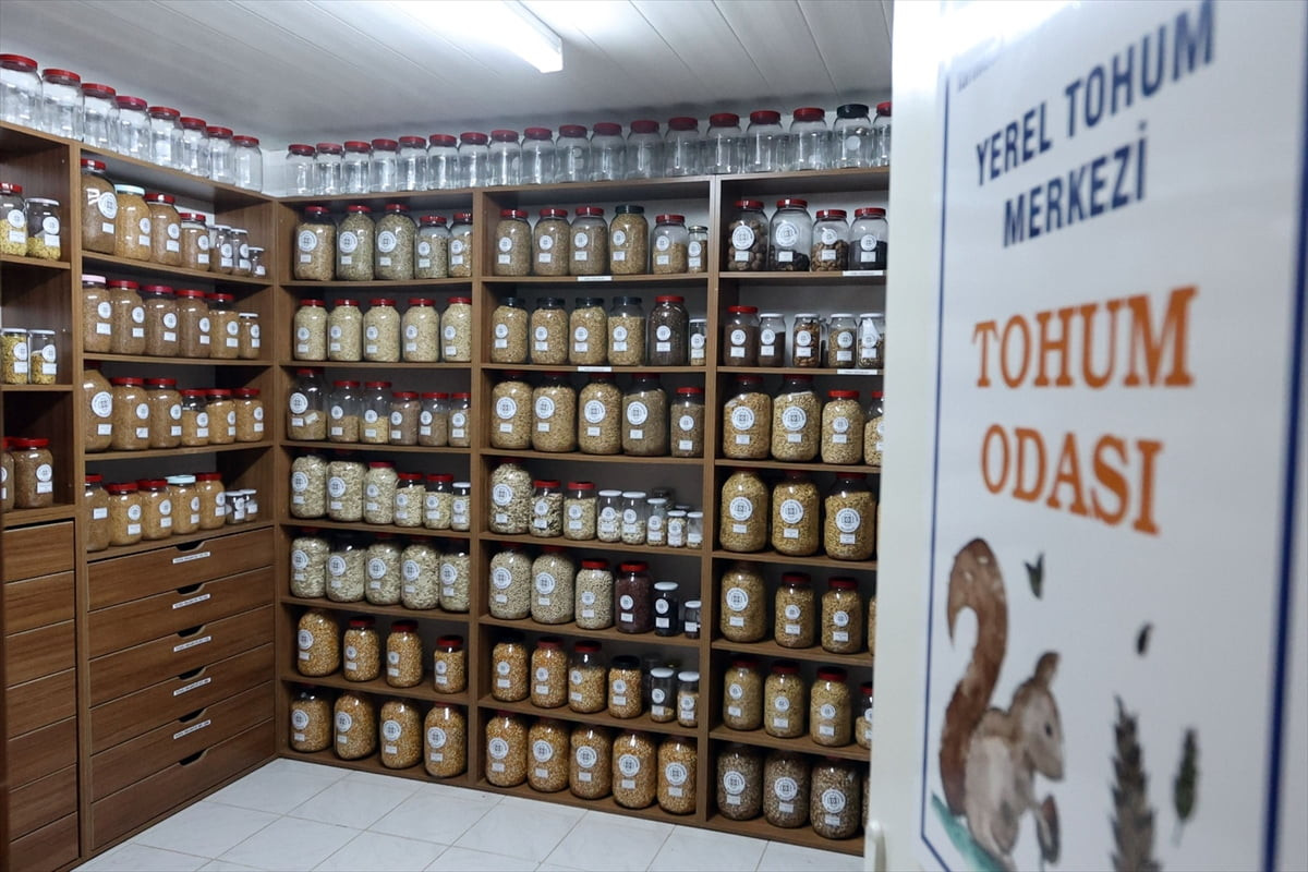 Muğla Büyükşehir Belediyesi Yerel Tohum Merkezi'nin bugüne kadar Türkiye genelinde 22 milyon yerel...