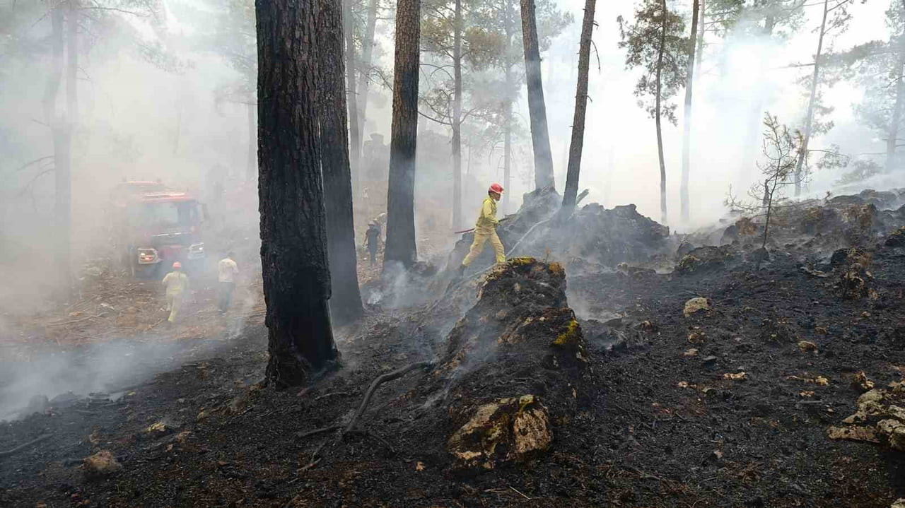 MUĞLA VALİLİĞİ, ÖNÜMÜZDEKİ GÜNLERDE HAVA SICAKLIKLARININ ARTMASI VE NEM ORANININ DÜŞMESİNİN...