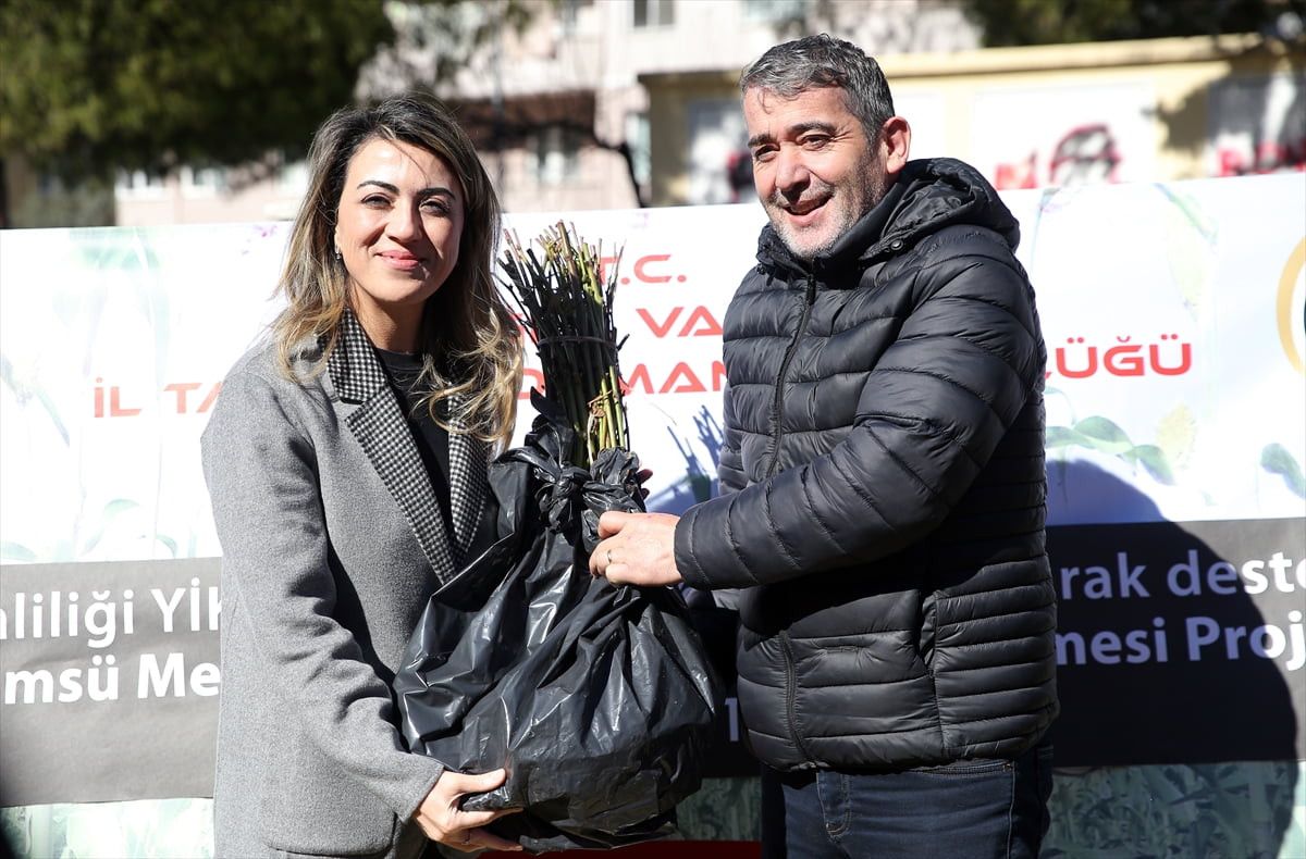 Muğla'da düşük maliyet ve yüksek gelir fırsatı sunan aronya, yaban mersini, frenk üzümü, ahududu...