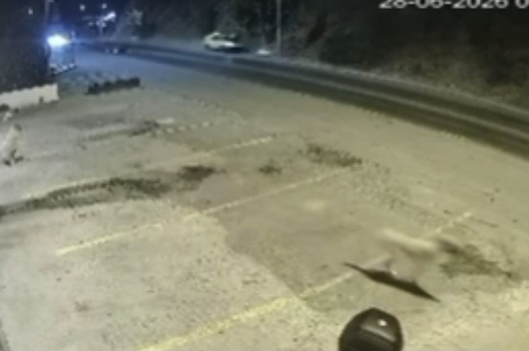 MUĞLA'NIN BODRUM İLÇESİNDE 2 KİŞİNİN HAYATINI KAYBETTİĞİ TRAFİK KAZASININ GÜVENLİK KAMERASI...