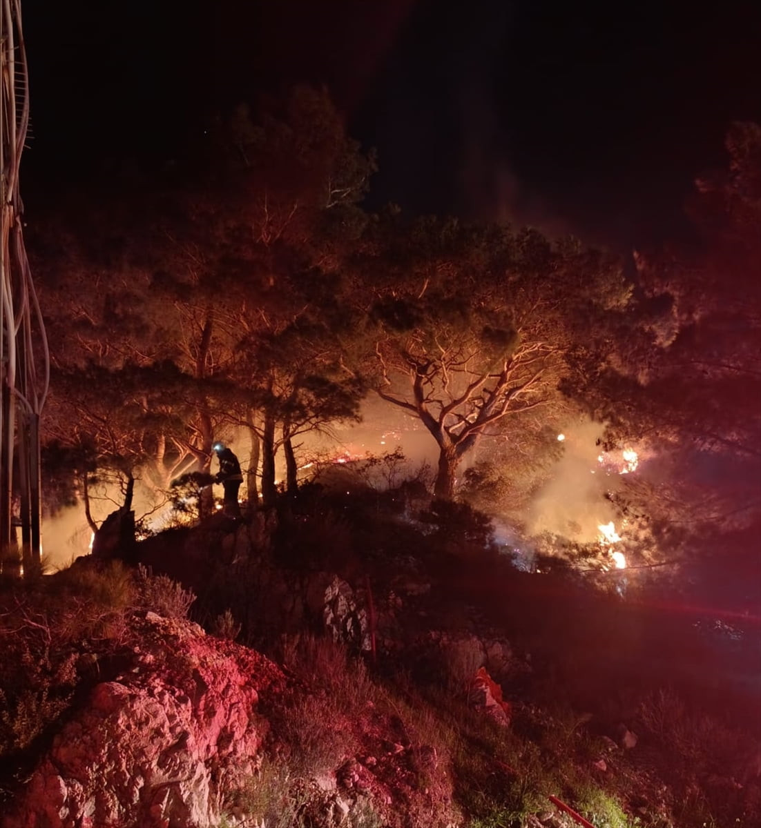 Muğla'nın Bodrum ilçesinde, ormanlık alanda yangın çıktı.