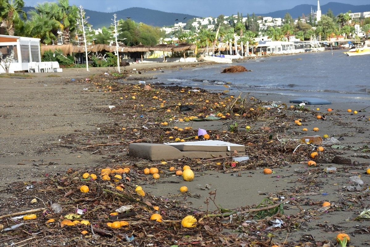 Muğla'nın Bodrum ilçesinde özellikle dün etkili olan sağanağın ardından derelerle denize ulaşan...