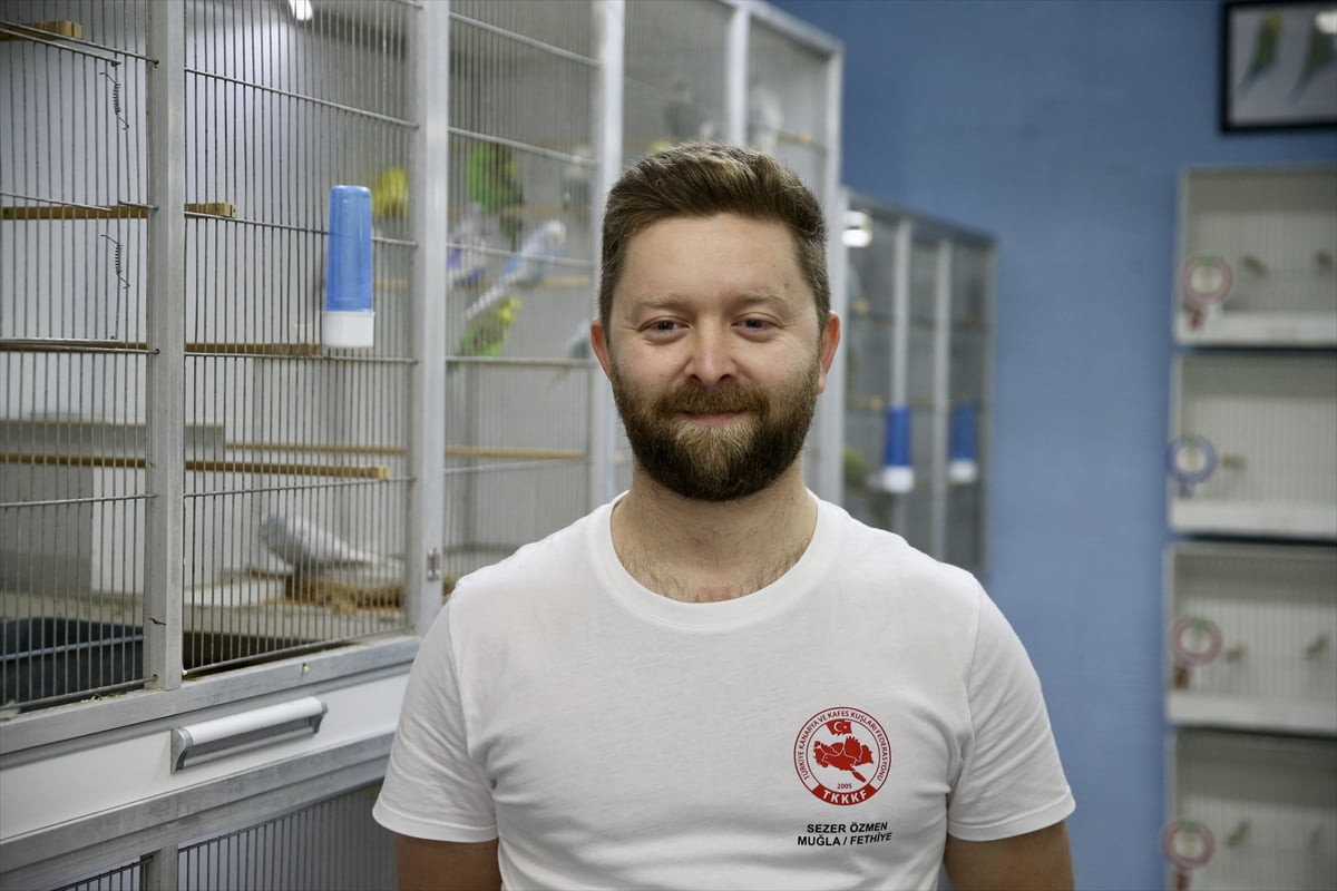 Muğla'nın Fethiye ilçesinde muhasebeci Sezer Özmen, 100'ü aşkın muhabbet kuşunun bakımını, evinin...
