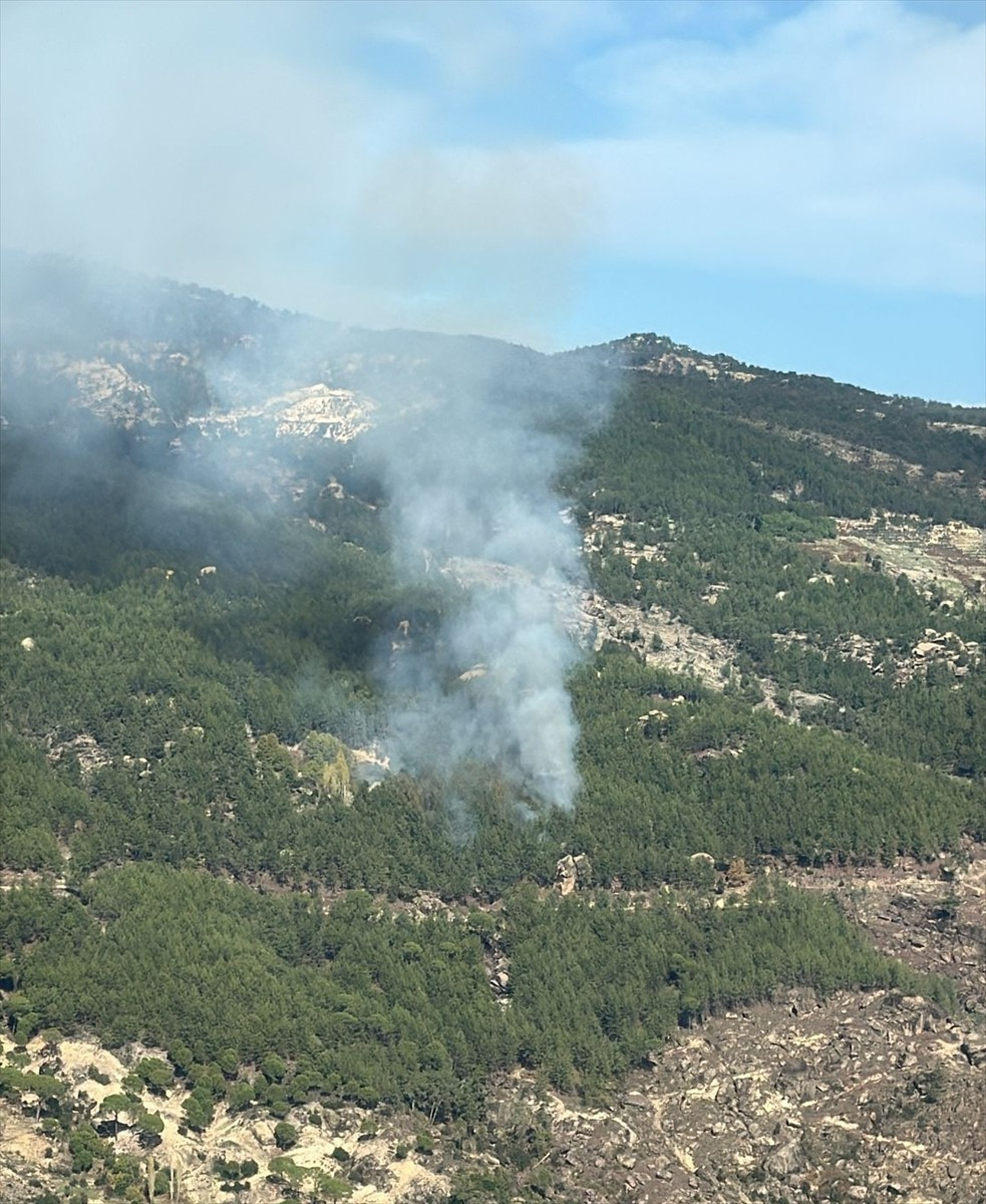 Muğla'nın Kavaklıdere ilçesinde ormanlık alanda çıkan yangına havadan ve karadan müdahale...