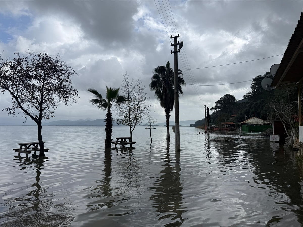 Muğla'nın Köyceğiz ilçesindeki yağışların ardından su seviyesi yükselen Köyceğiz Gölü'nün taşması...