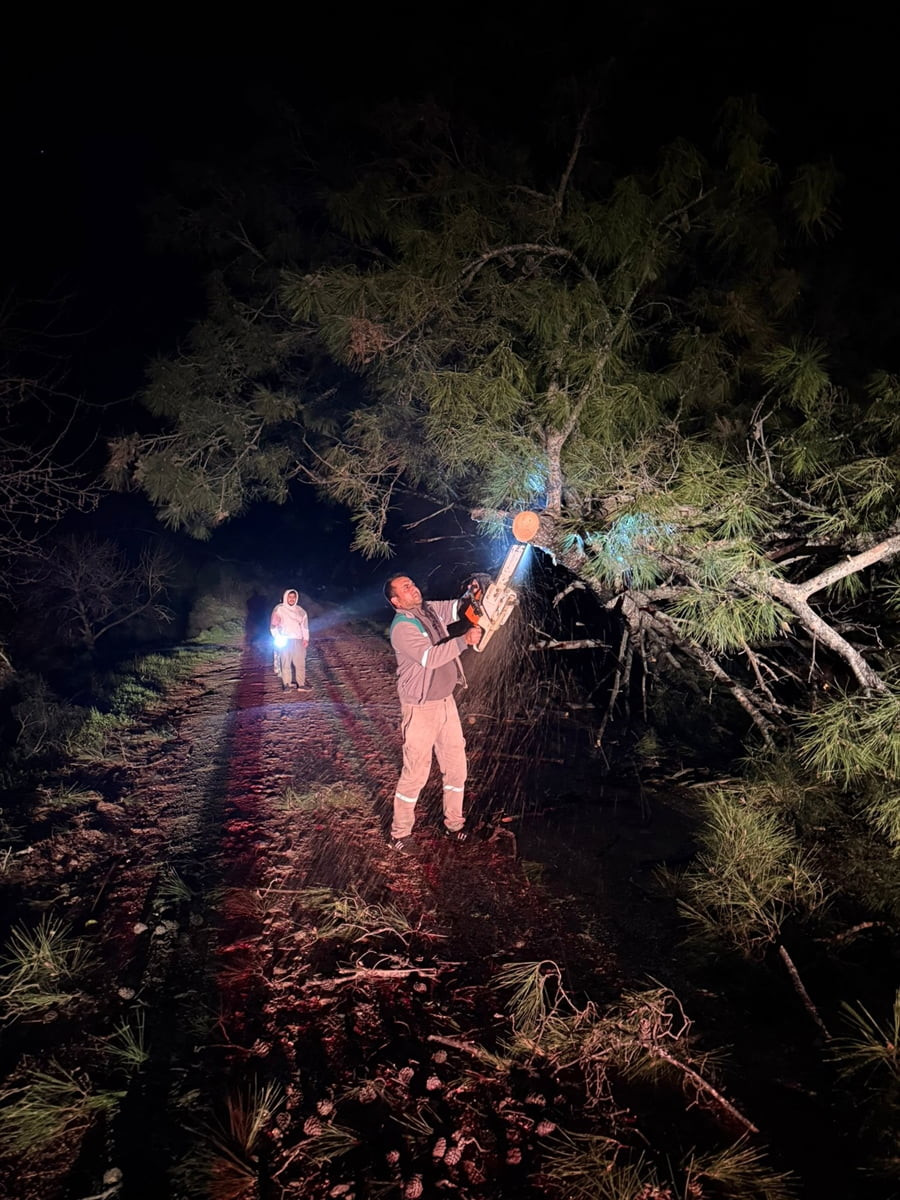 Muğla'nın Marmaris ilçesinde kuvvetli fırtına etkili oluyor. Kuvvetli rüzgarda devrilen ağaçlar...