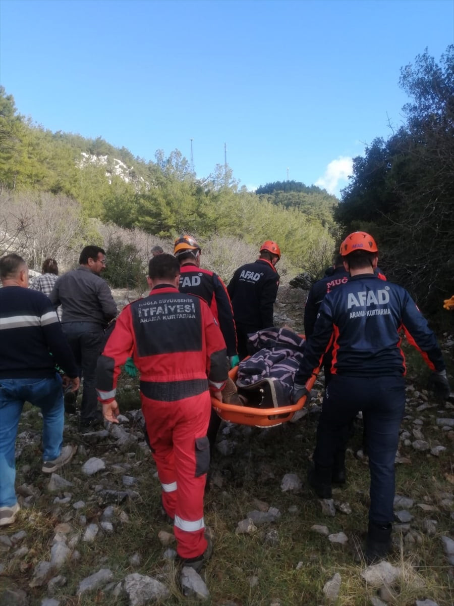 Muğla'nın Menteşe ilçesinde hayvan otlatırken kayalıklardan düşen kişi, ekiplerin 1 saatlik...