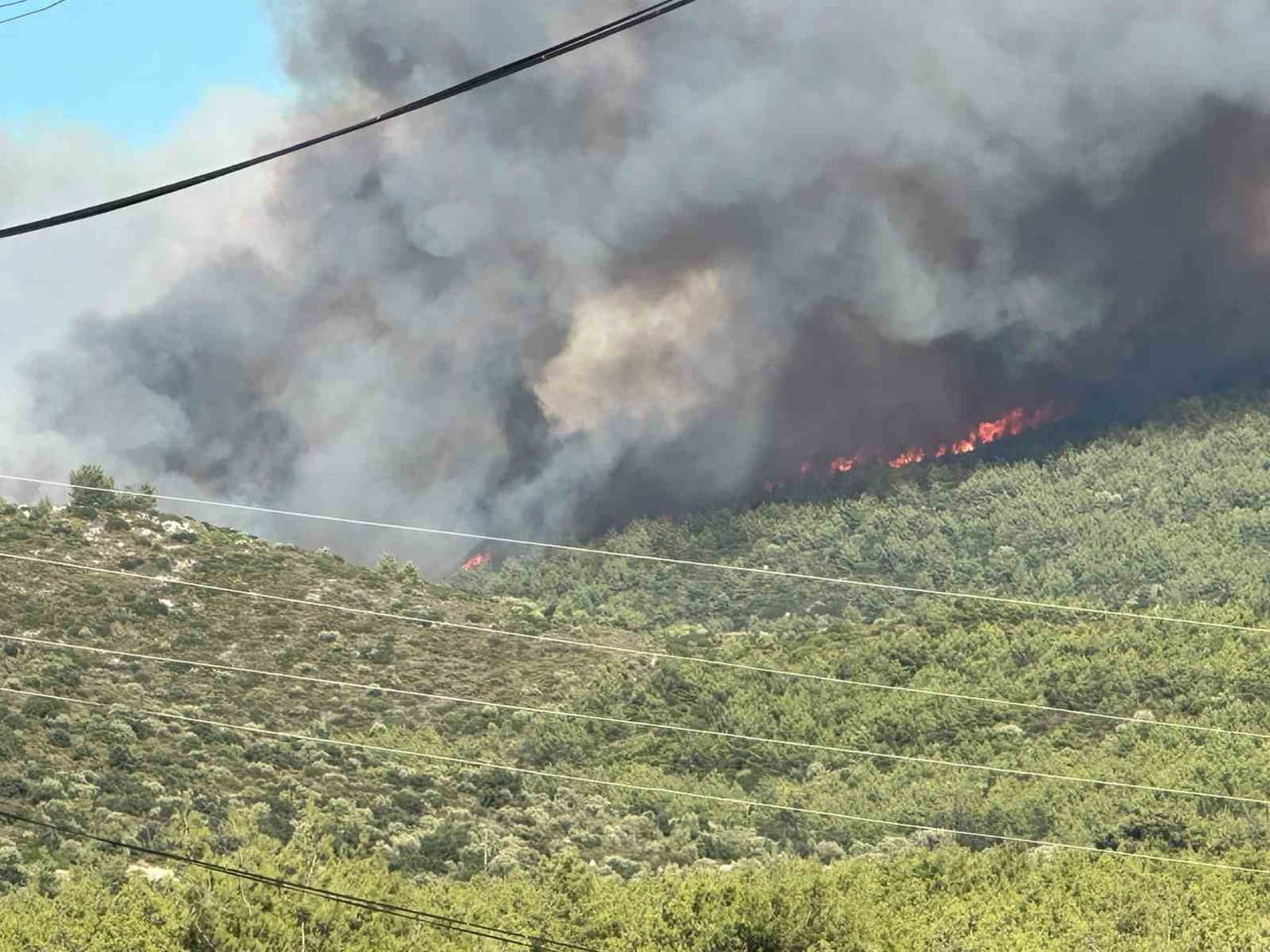 MUĞLA'NIN MİLAS İLÇESİNDE ORMANLIK ALANDA ÇIKAN YANGINA EKİPLERİN HAVADAN VE KARADAN MÜDAHALESİ...